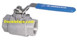3" Norwesco 316 Stainless Steel Ball Valve, Full Port With Teflon Seats And Teflon Seals
