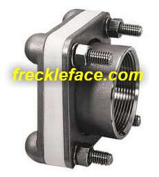 Bolted stainless steel fitting double sided
